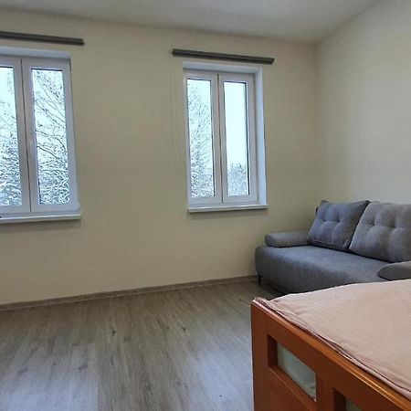 קרלובי וארי Apartment 35M2 מראה חיצוני תמונה